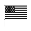Ships directly from U.S.A